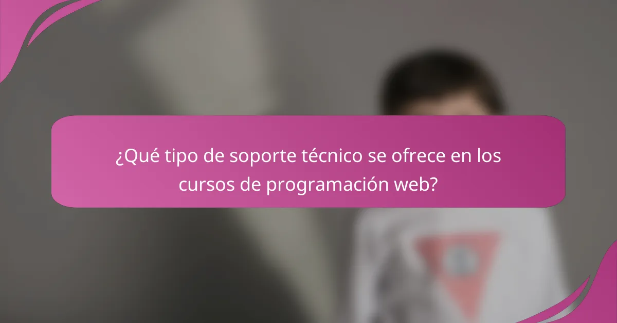 ¿Qué tipo de soporte técnico se ofrece en los cursos de programación web?